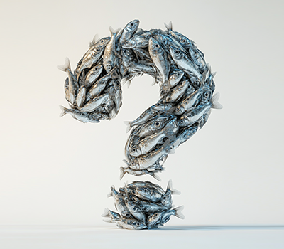 سوالات متداول copy